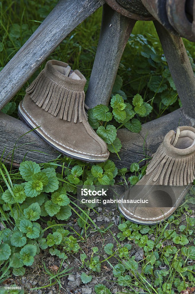 Chaussures marron - Photo de Beauté libre de droits