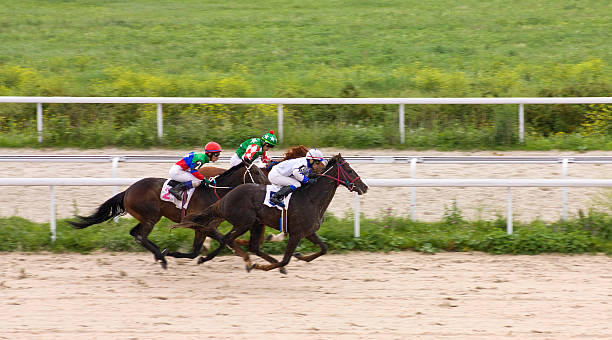 A man celebrates a win at the horse races.