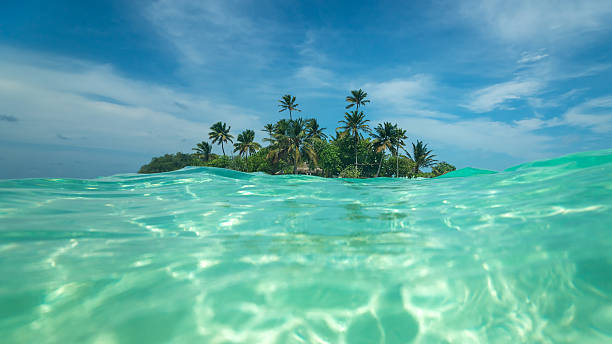 istock Tropical island in the ocean 178027788