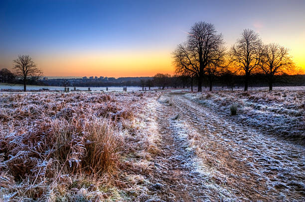 istock Frosty Winter landscape across field towards sunrise 178028639
