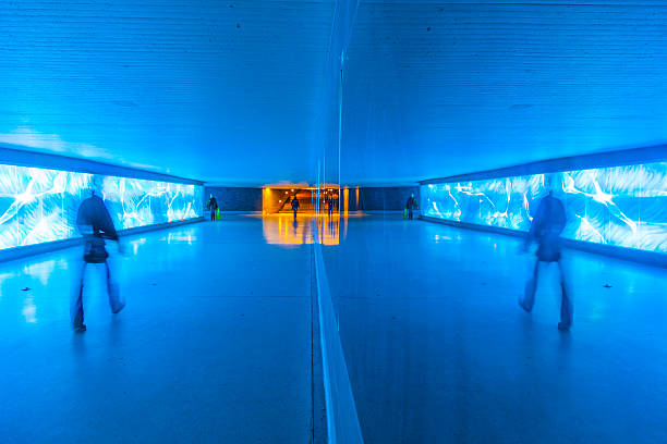 istock tunnel with pedestrians in motion 178029201