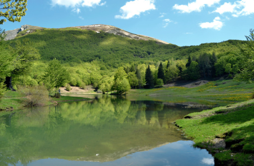 Beautiful green lake in spring - Appennino Tosco Emiliano national park - Italy