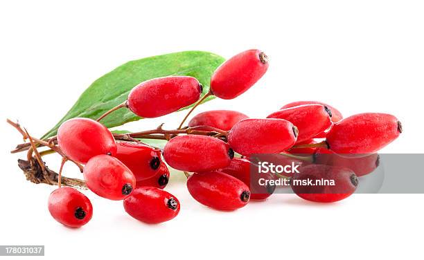 Barberry Stockfoto und mehr Bilder von Berberitzengewächs - Berberitzengewächs, Beere - Obst, Bocksdornfrucht