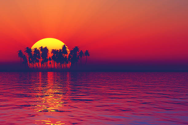 istock silhouette of sunset palms 178031200