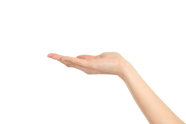istock Woman hand in holding gesture 178031941