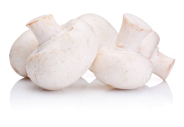 istock Fresh Portabello Mushroom champignon isolated on white background 178032407