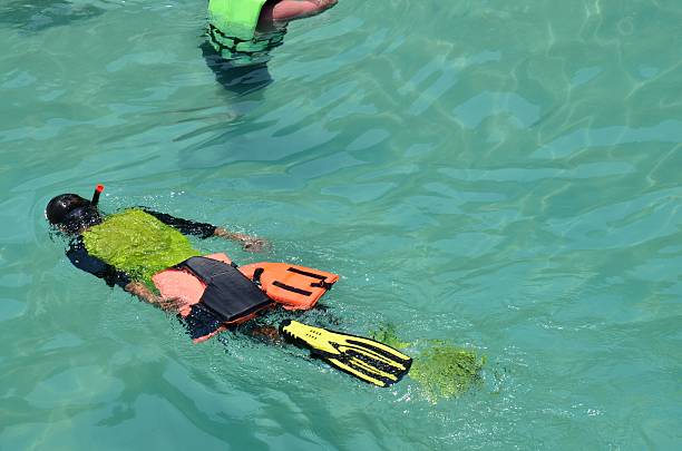 istock Snorkeling at Koh Chang Thailand 178033049