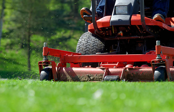 lawnmower - relvado - fotografias e filmes do acervo