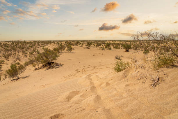 istock Sand dunes, or desert landscape with sunset sky in Middle East 1780335792
