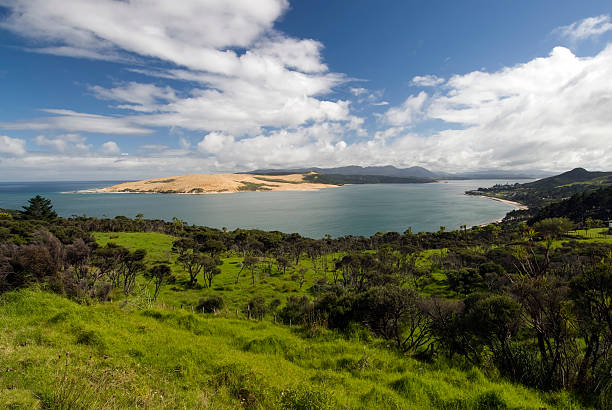 Hokianga harbour Northland, North Island, New Zealand Hokianga harbour Northland, North Island, New Zealand tidal inlet stock pictures, royalty-free photos & images