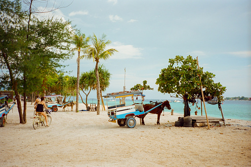 Horse cart on Gili Meno island in Indonesia