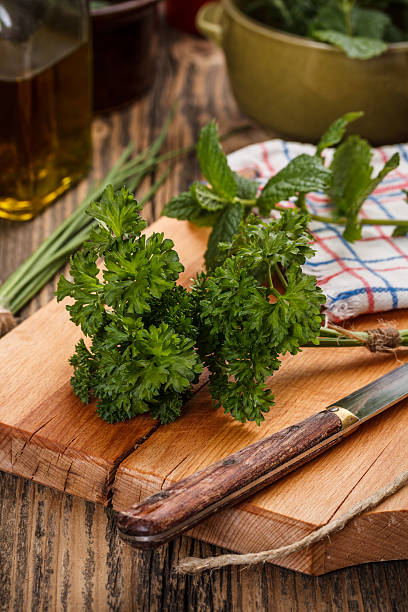 istock Curly parsley leaves 178034275