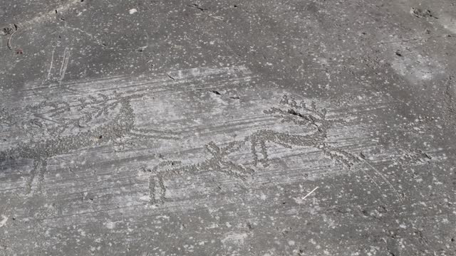 prehistoric graffitti of deer