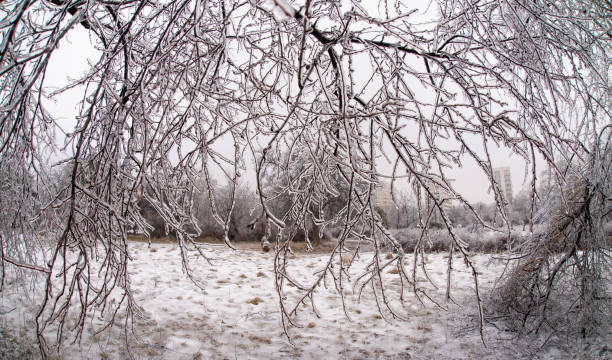 istock Wonderful ice landscape in Bucharest 1780346542