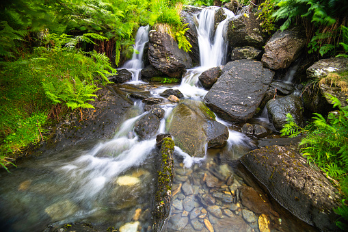 A stream in Snowdonia creates a small waterfall in a green gulley.