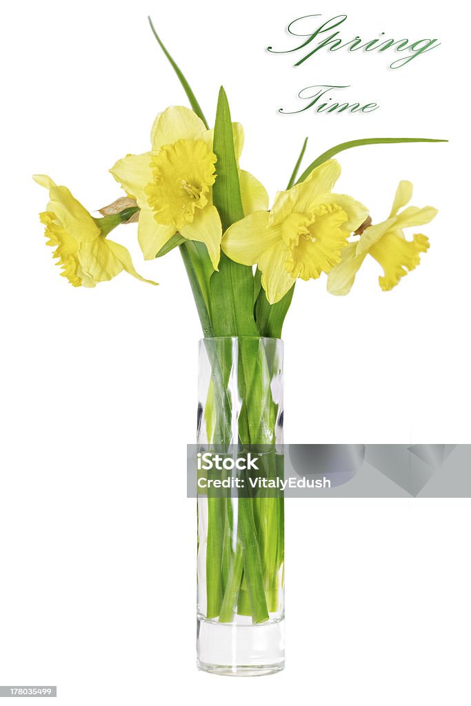 Flores de primavera linda no vaso: Laranja Papyraceus (Narciso) - Foto de stock de Abril royalty-free