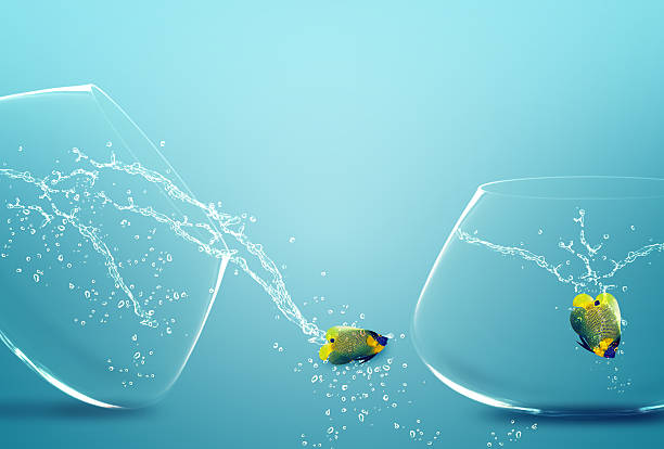 istock angelfish jumping out of  fishbowl 178035823
