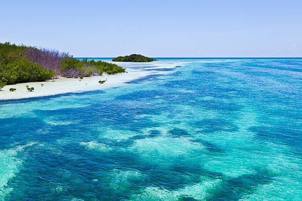 istock beautiful scenic beaches and clear water in the Keys 178037159