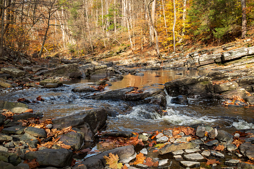 Photo taken of the Lockatong Creek in the fall. This 15.6-mile-long tributary of the Delaware River is located in Delaware Township, Hunterdon County, New Jersey, USA.