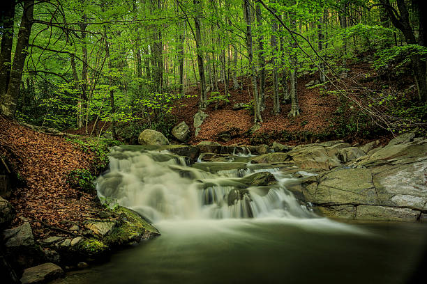 wasserfälle - waterfall rapid landscape woods stock-fotos und bilder