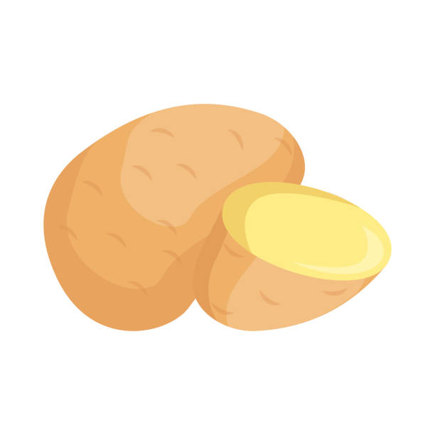 ilustrações de stock, clip art, desenhos animados e ícones de potato illustration. - baked potato