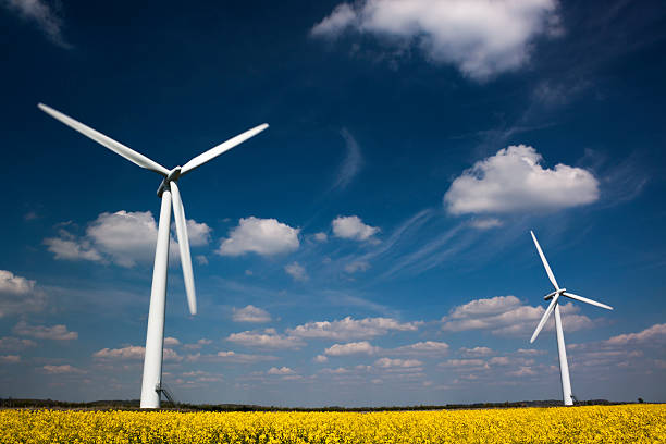 istock Low perspective view of two Wind Turbines in Canola Field 178040488