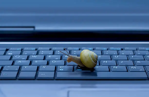 Snail on keyboard symbolizing slow data transfer.