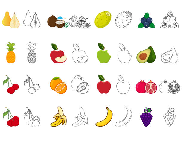 набор иллюстраций фруктов с контурным рисунком. раскрашивание и обучение, иконка линии. - red grape grape fruit sweet food stock illustrations