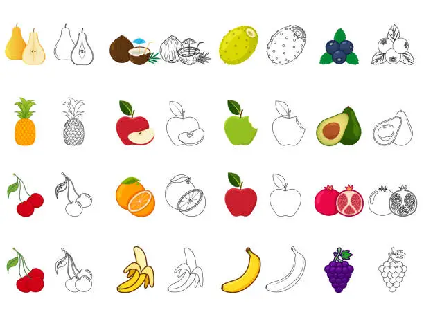 Vector illustration of Set of fruits illustration with contour drawing. Coloring and learning, line icon.