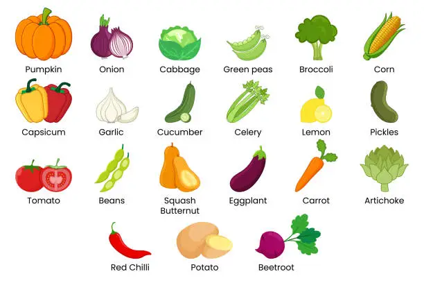 Vector illustration of Vegetables illustration set.