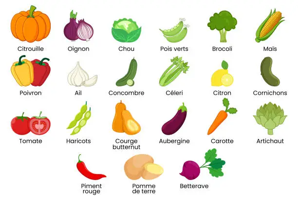 Vector illustration of Set of illustration of vegetables with title in French.