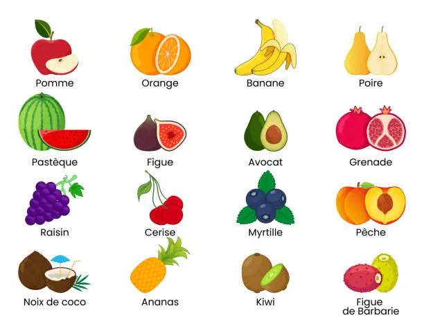 Vector illustration of Set of illustration of fruits with title in French.