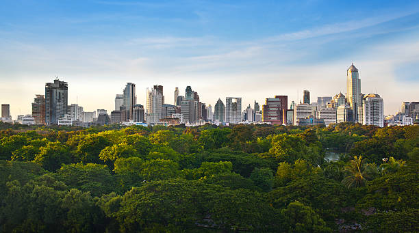 A landscape of some trees with a city skyline behind them stock photo