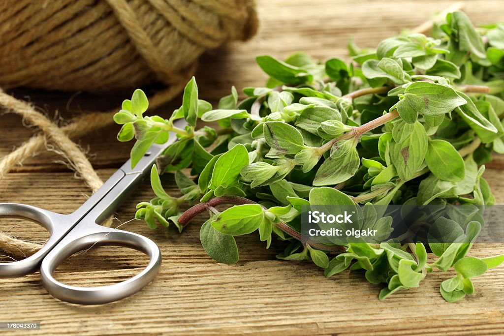 fresh organic oregano (marjoram) on a wooden board Branch - Plant Part Stock Photo