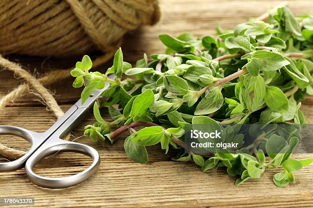 Fresh Organic Oregano On A Wooden Board Stock Photo - Download Image Now - Branch - Plant Part, Food, Food and Drink