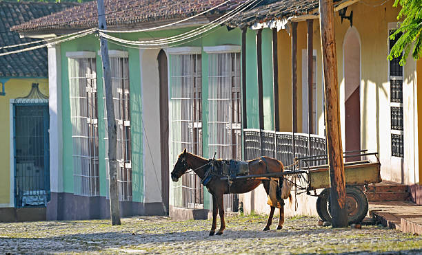 istock Horse drawn cart, Trinidad, Cuba 178043603