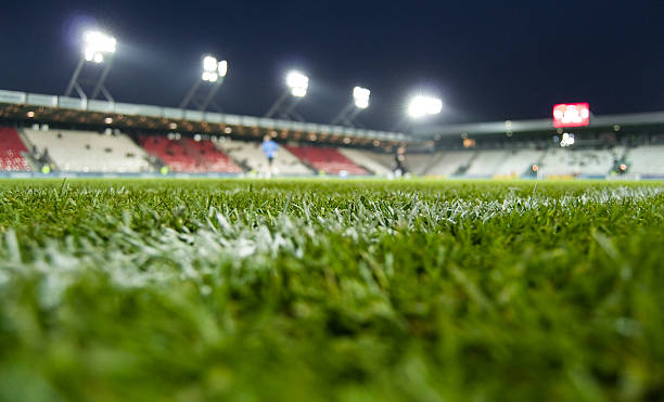 istock View from the grass of a stadium 178045684