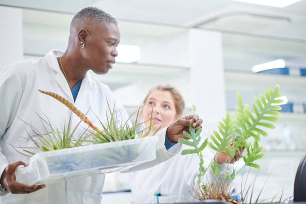 istock biochemists in the lab discussing a specimen 1780457340