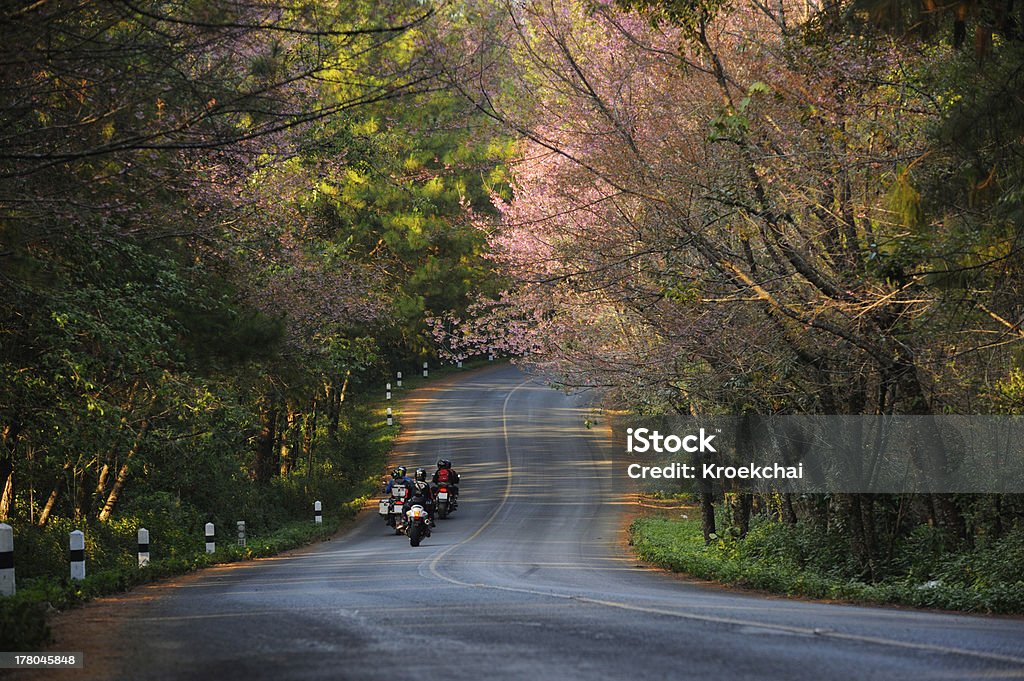 On the road On the road at Angkhang, Chiangmai, Thailand Motorcycle Stock Photo