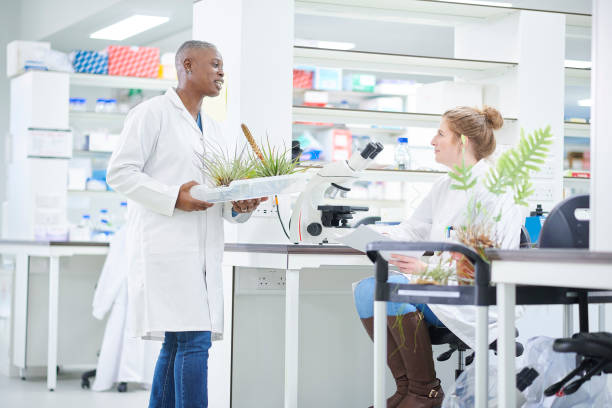 istock biochemists in the lab discussing a specimen 1780458530
