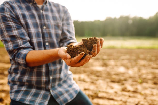istock Farmer's hands take the soil from the field and check its quality. 1780471144