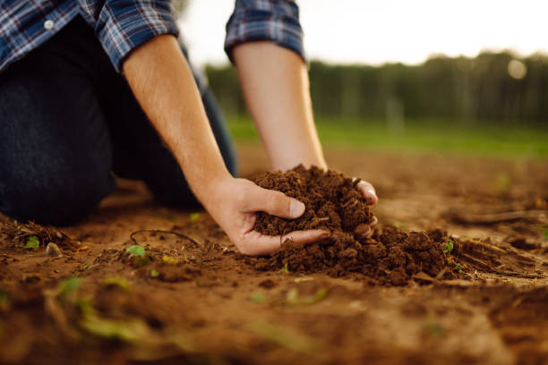 istock Farmer's hands take the soil from the field and check its quality. 1780471145