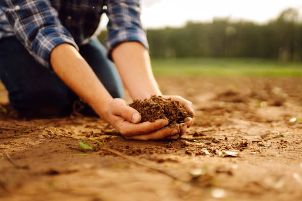 istock Farmer's hands take the soil from the field and check its quality. 1780471156