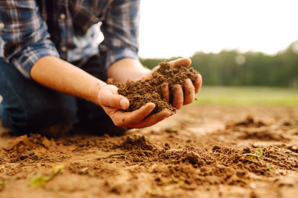 istock Farmer's hands take the soil from the field and check its quality. 1780471158