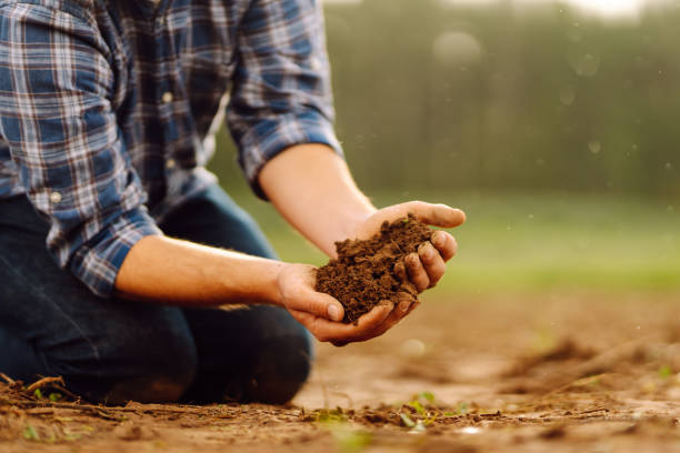 istock Farmer's hands take the soil from the field and check its quality. 1780471177