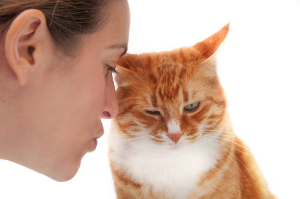 istock The love of a pet 1780475911