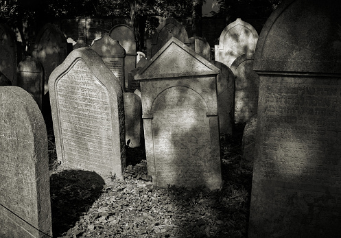 old weathered gravestones on a historical Jewish cemetery in Prague-Žižkov district