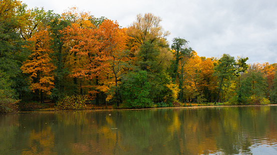 Pond in the Autumn Solacz Park. Poland, Poznan