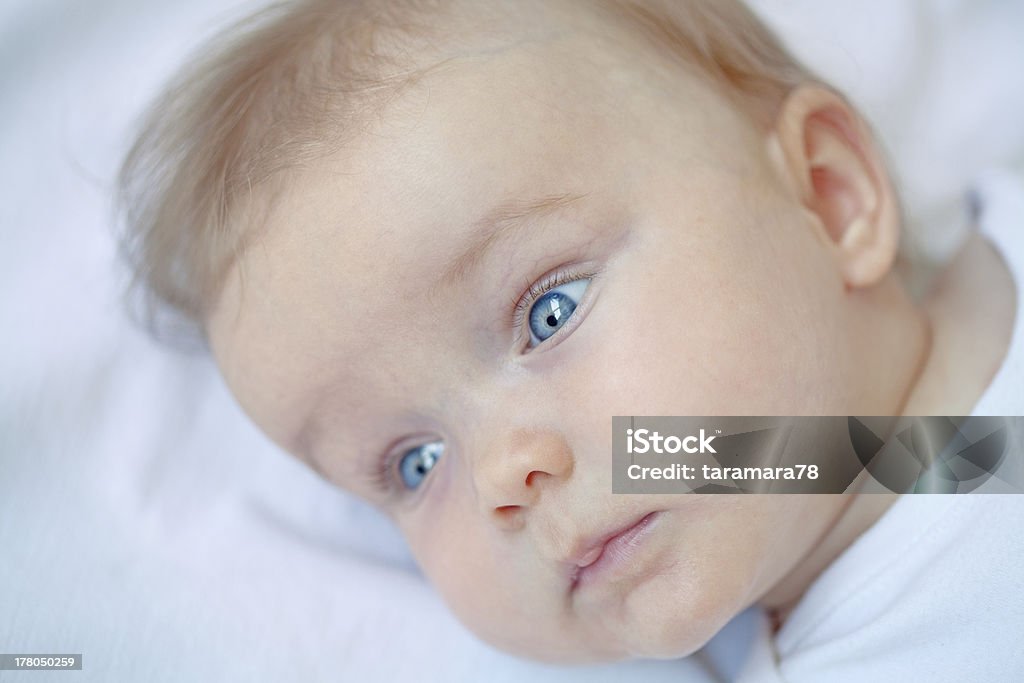 Retrato de bebé - Foto de stock de 0-11 meses libre de derechos