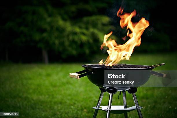 Grill Stock Photo - Download Image Now - Barbecue Grill, Fire - Natural Phenomenon, Green Color